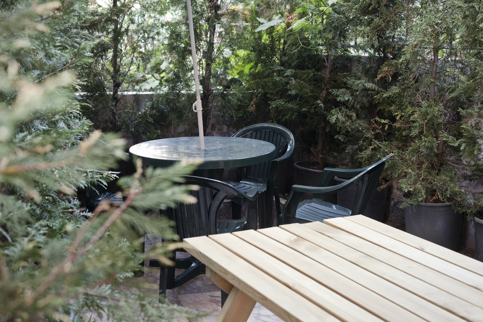 Veni Vidi Dormi Hostel - Istanbul — Photos 3